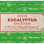 Encens Satya Eucalyptus 15g