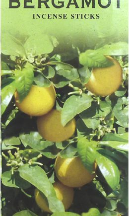 Encens HEM Bergamote 20g