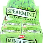 Encens HEM menthe 10 cônes