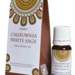 Huile Goloka Sauge Blanche californienne 10ml