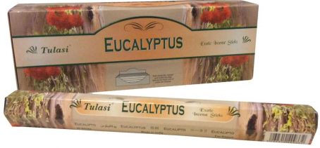 Encens Tulasi Eucalyptus 20g