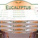 Encens Tulasi Eucalyptus 8 bâtonnets
