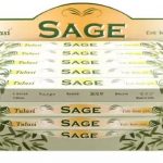 Encens Tulasi Sauge 8 bâtonnets